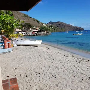 La Yole Des Caraïbes Les Anses-d'Arlet